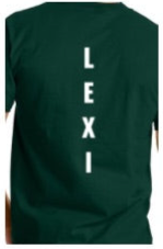 Nipmuc Cheer Dad T-Shirt